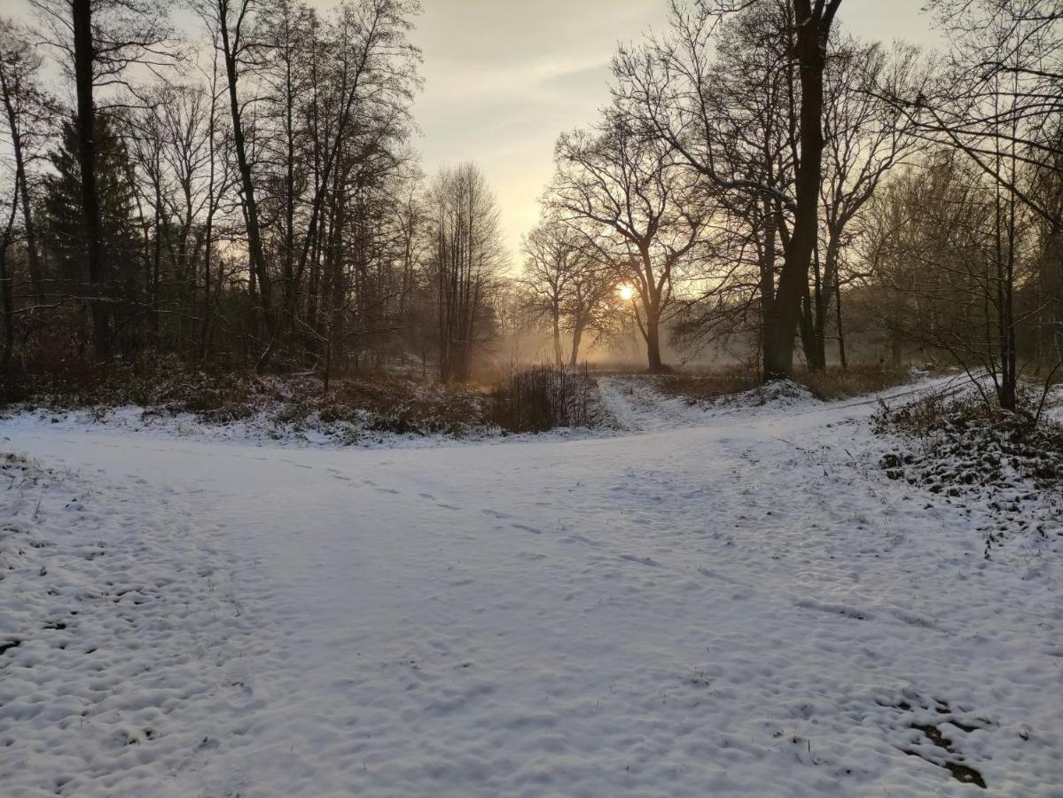 Ferienhaus Erna Villa Doberlug-Kirchhain Bagian luar foto