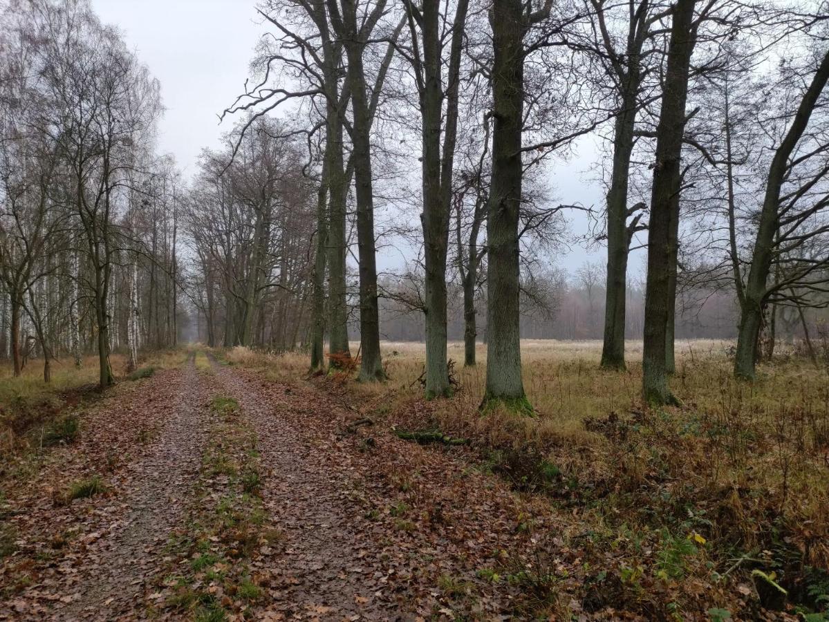 Ferienhaus Erna Villa Doberlug-Kirchhain Bagian luar foto