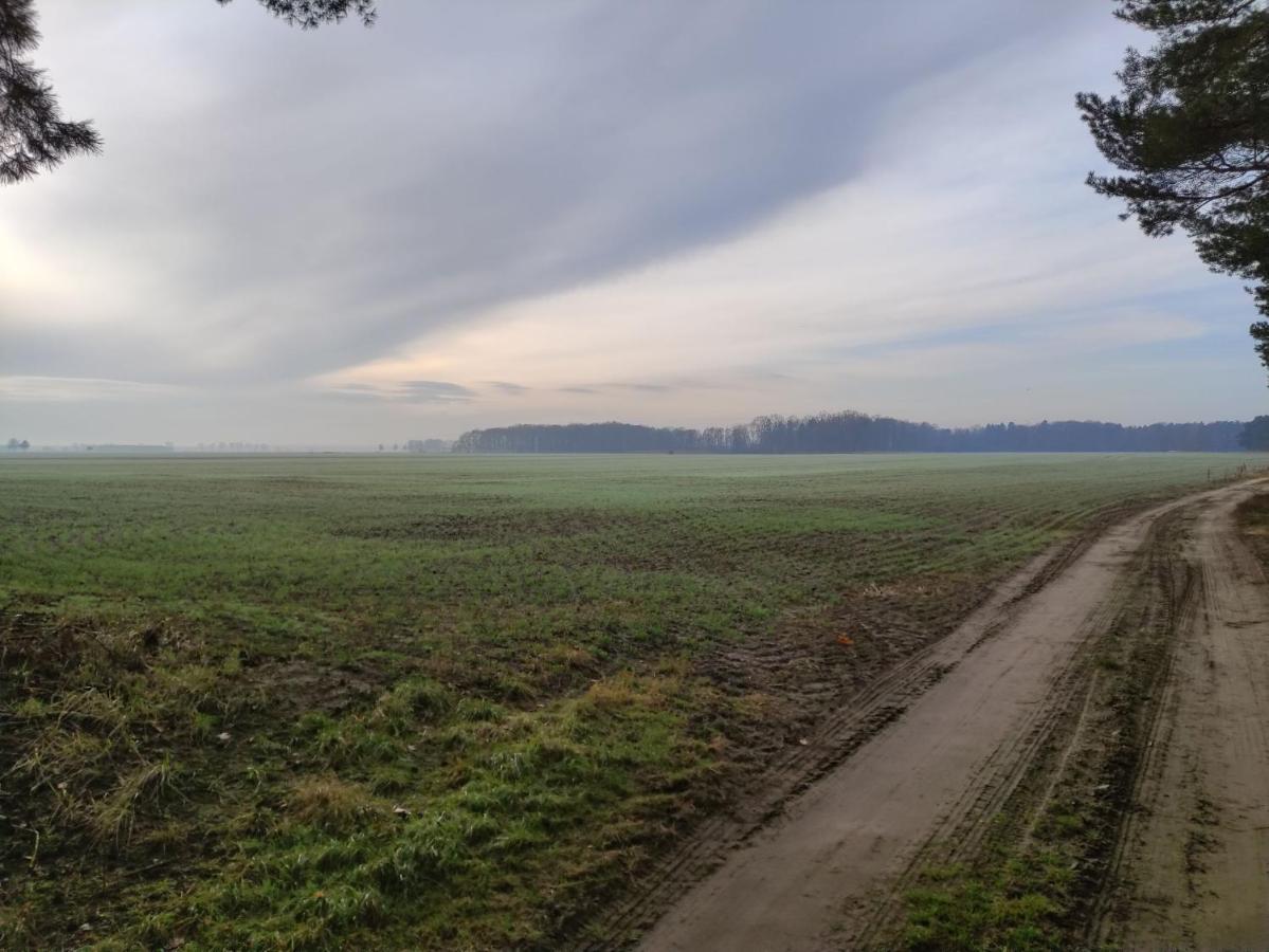 Ferienhaus Erna Villa Doberlug-Kirchhain Bagian luar foto