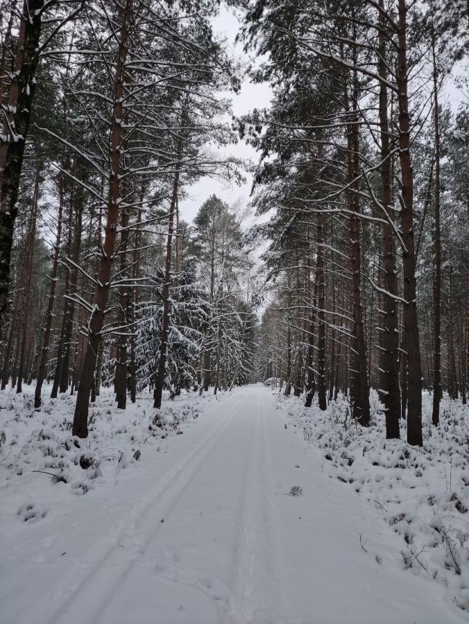 Ferienhaus Erna Villa Doberlug-Kirchhain Bagian luar foto