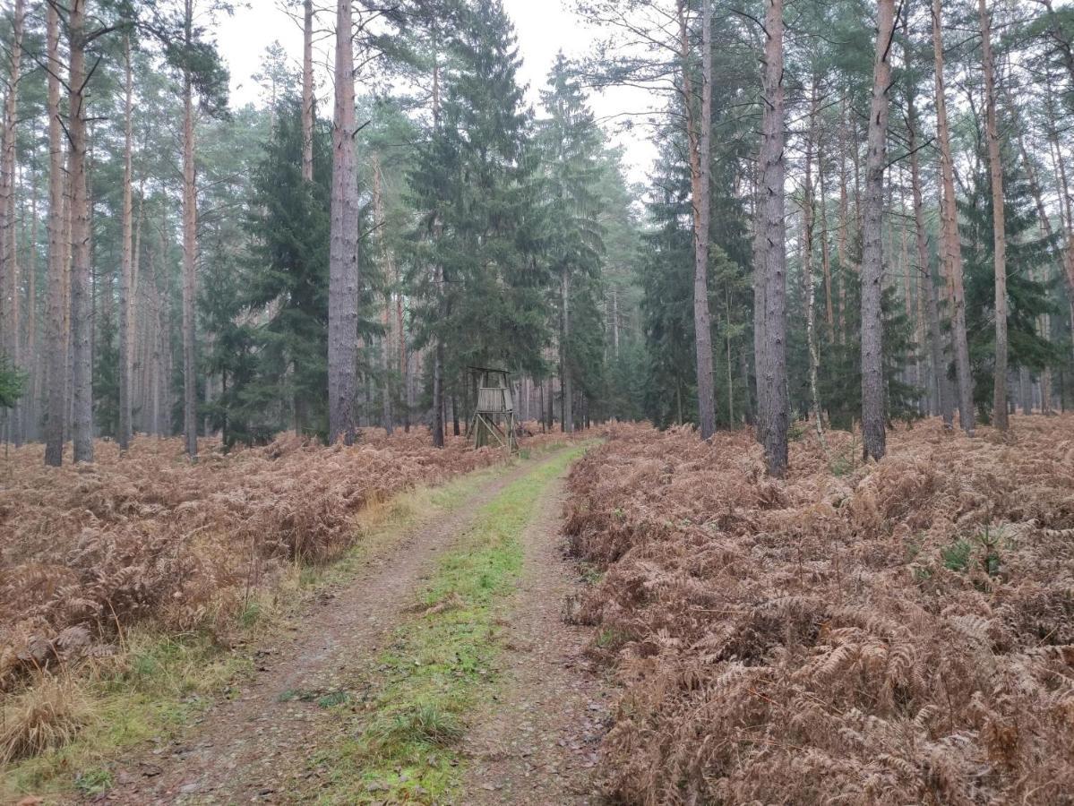 Ferienhaus Erna Villa Doberlug-Kirchhain Bagian luar foto