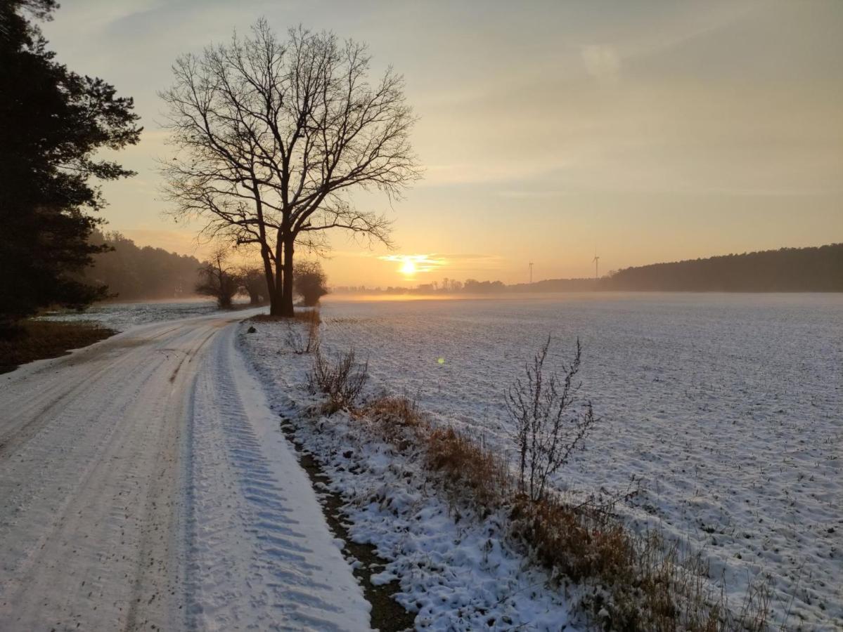 Ferienhaus Erna Villa Doberlug-Kirchhain Bagian luar foto