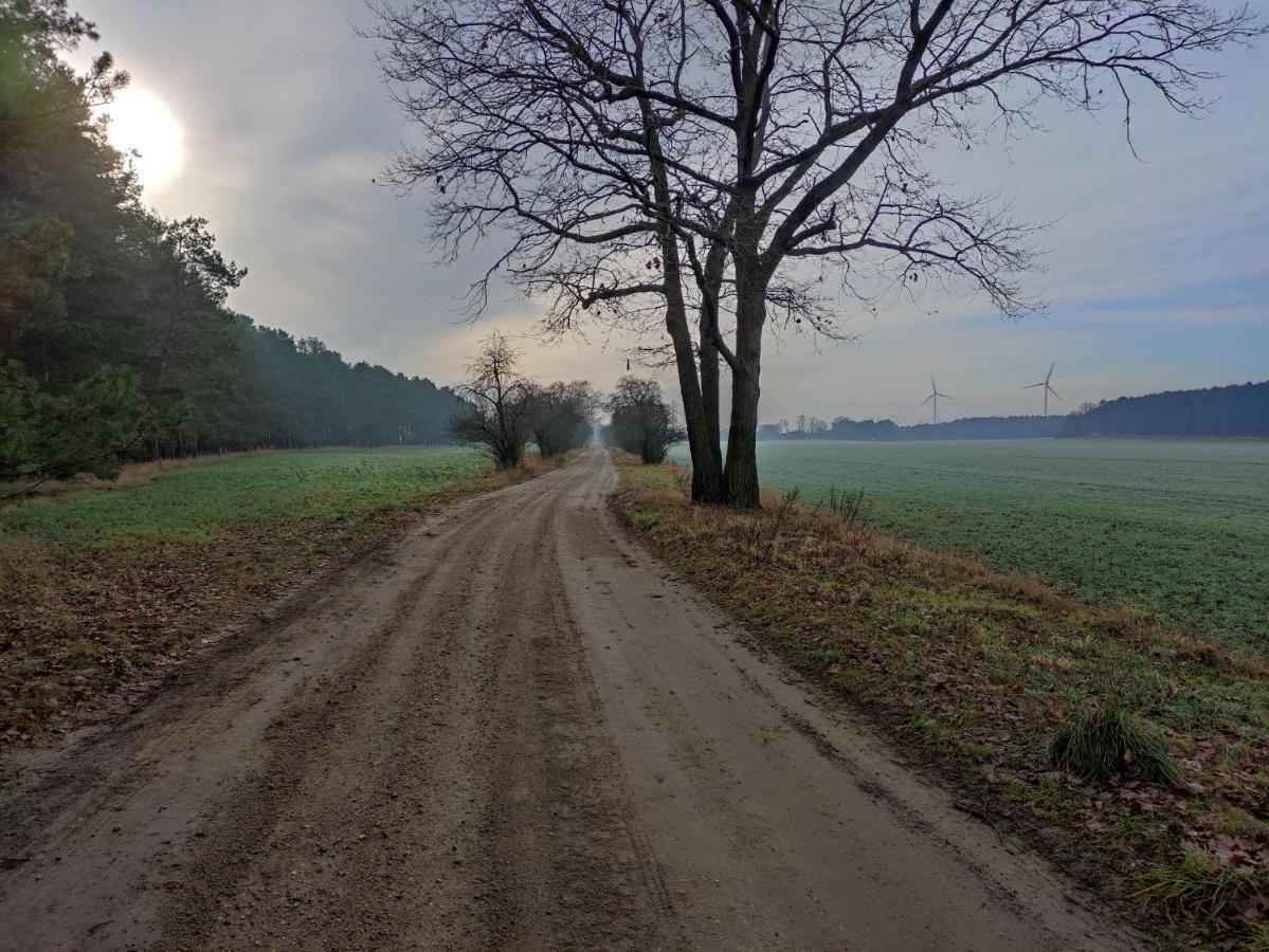 Ferienhaus Erna Villa Doberlug-Kirchhain Bagian luar foto