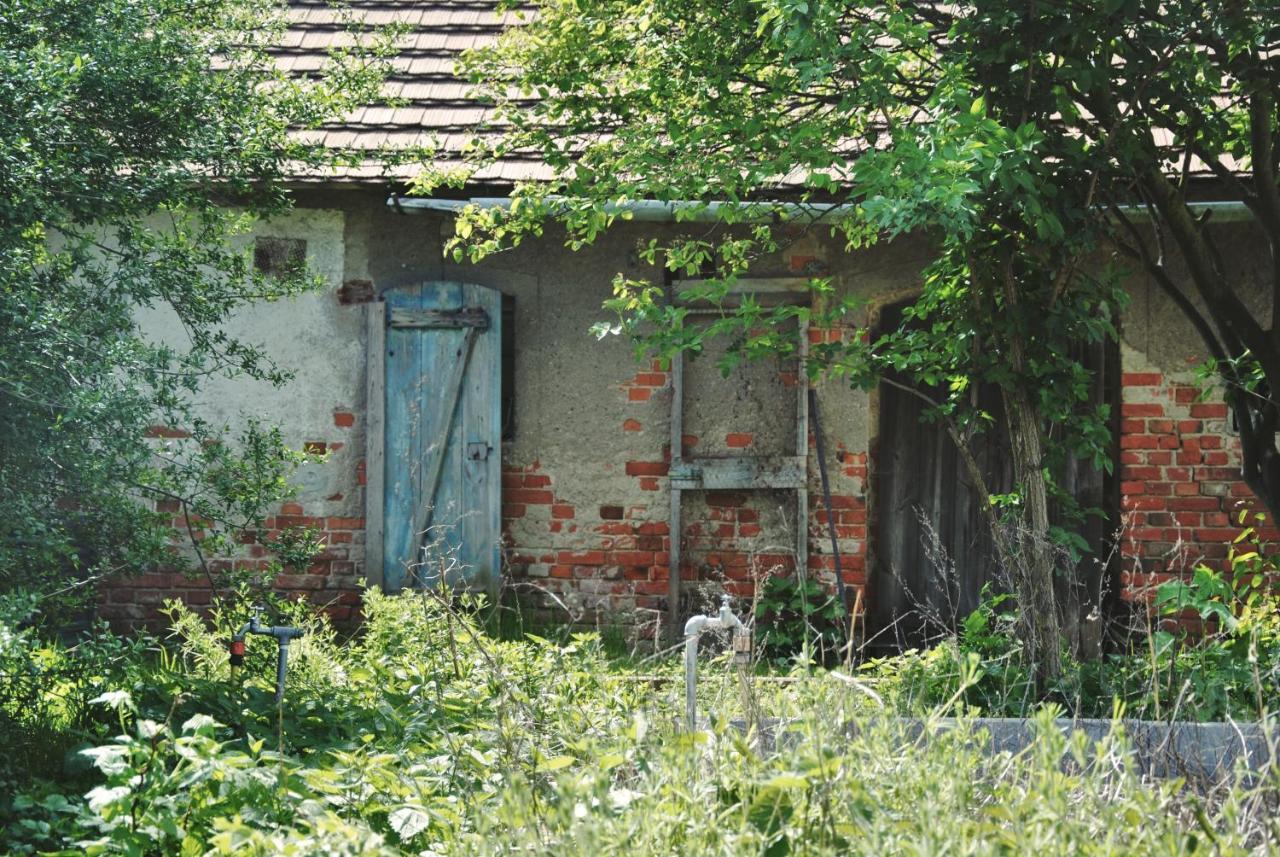 Ferienhaus Erna Villa Doberlug-Kirchhain Bagian luar foto