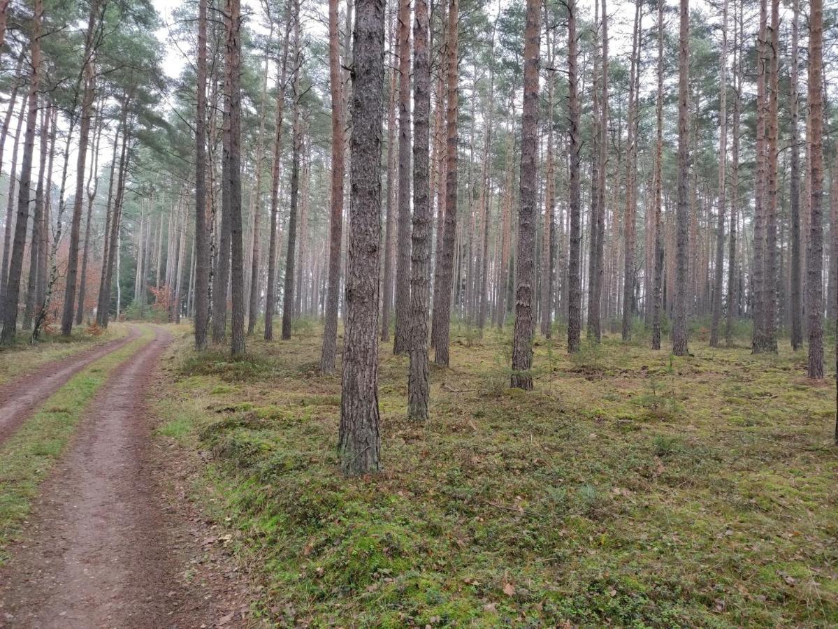 Ferienhaus Erna Villa Doberlug-Kirchhain Bagian luar foto