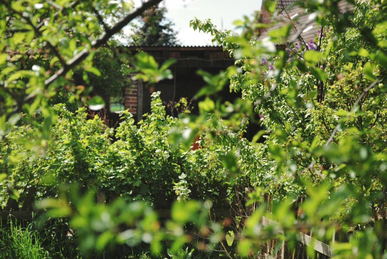 Ferienhaus Erna Villa Doberlug-Kirchhain Bagian luar foto