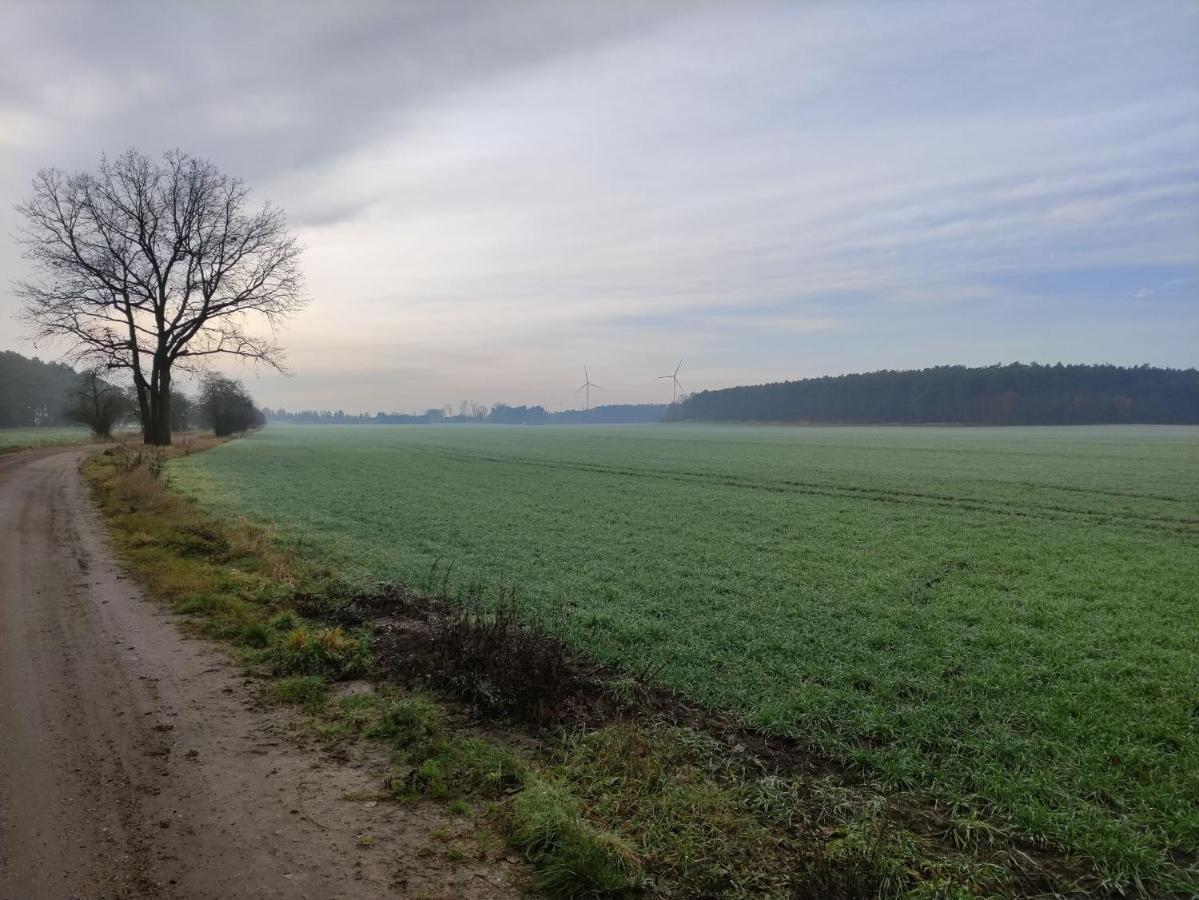 Ferienhaus Erna Villa Doberlug-Kirchhain Bagian luar foto