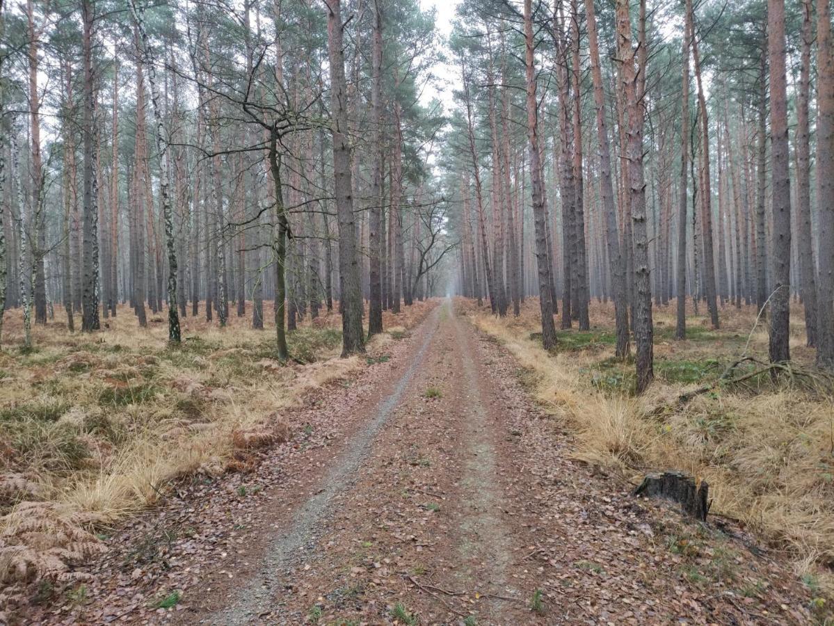 Ferienhaus Erna Villa Doberlug-Kirchhain Bagian luar foto