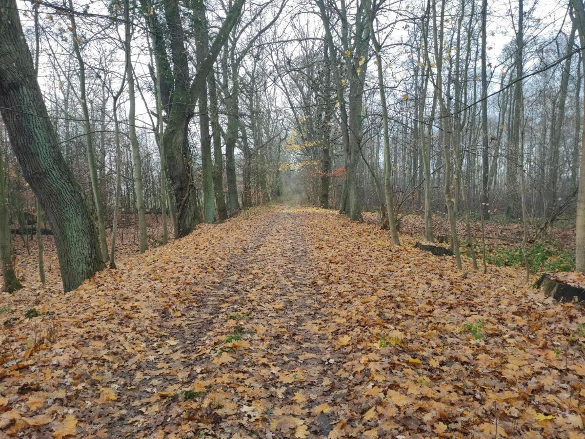 Ferienhaus Erna Villa Doberlug-Kirchhain Bagian luar foto